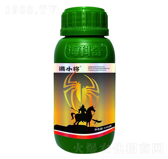 20%������-�MС��-������