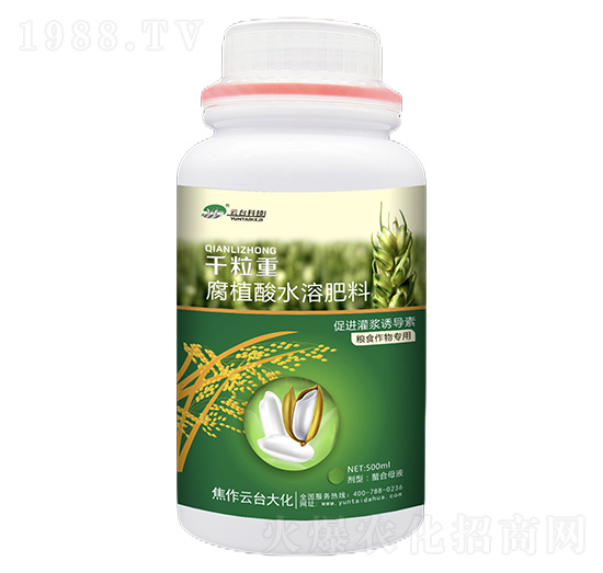 千粒重-腐植酸水溶肥料-云臺大化