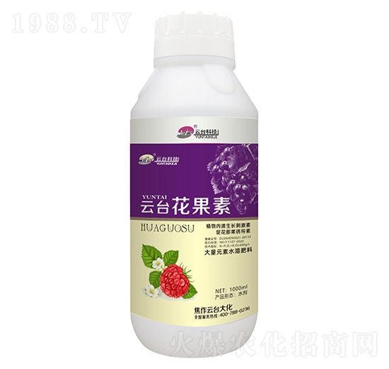 云臺花果素-云臺大化