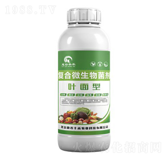 葉面型復合微生物菌劑-惠谷豐禾