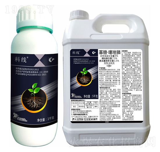 9%���ǡ������-�ƾ�-����¡����