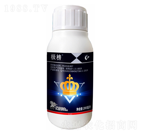 10%�x(ch��ng)����-�O��-����¡����