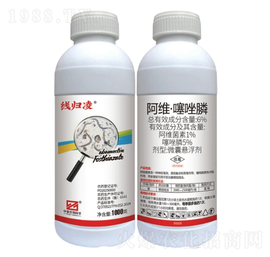 6%���S�������΢�ґҸ�����CS��-���w��-�л�����ƌW