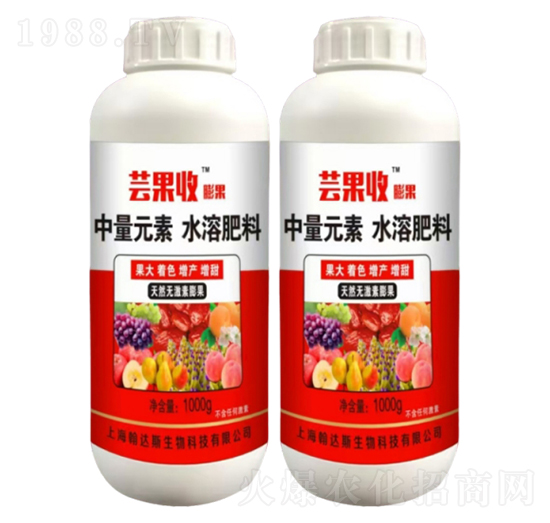 棗樹?；ū９?蕓果收-農(nóng)哥農(nóng)業(yè)