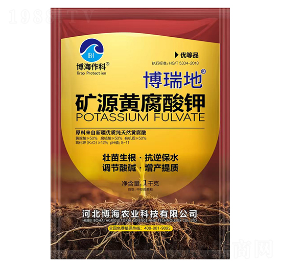 1kg�VԴ�S�����-�����-��������