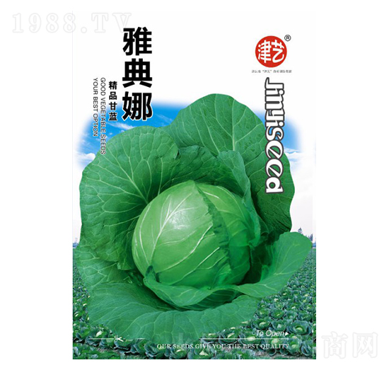 甘藍種子-雅典娜-邯豐農(nóng)業(yè)