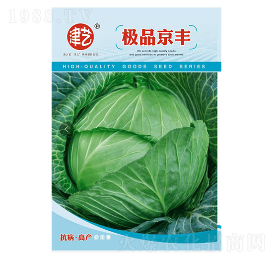 甘藍種子-京豐-邯豐農(nóng)業(yè)