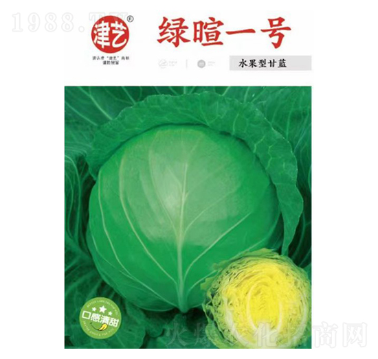 甘藍(lán)種子-綠暄一號(hào)-邯豐農(nóng)業(yè)