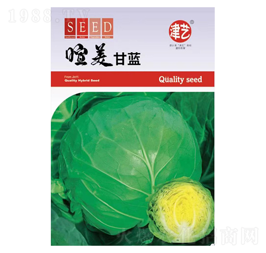 甘藍種子-喧美甘藍-邯豐農(nóng)業(yè)