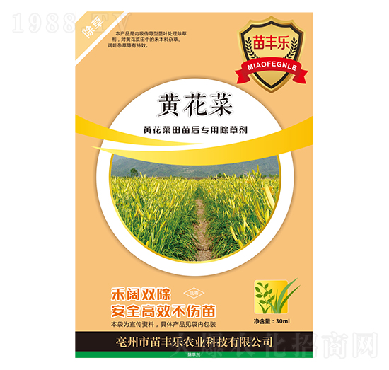 黃花菜田苗后專用除草劑-苗豐樂(lè)-苗樂(lè)康農(nóng)業(yè)
