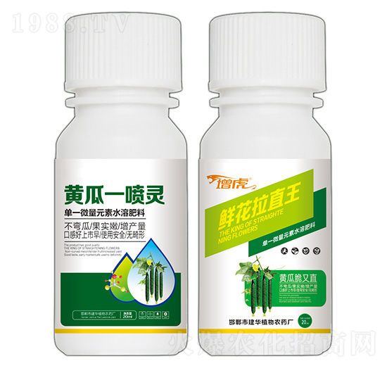 黃瓜一噴靈+鮮花拉直王-增虎-建華農(nóng)業(yè)