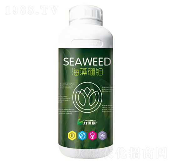 天然海藻硼鉬-力保碩-建華農(nóng)業(yè)