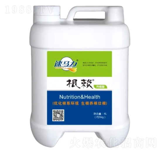 4L根賴(lài)-中澳西農(nóng)