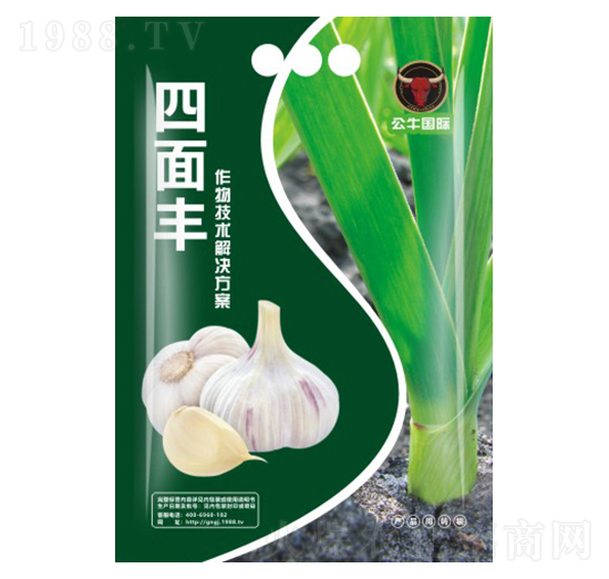 大蒜增產(chǎn)技術(shù)包-四面豐-公牛國際