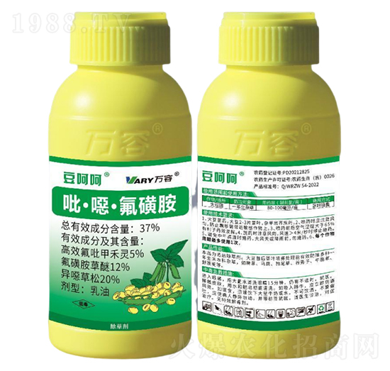 37%�����f�����ǰ�-���Ǻ�-�f��