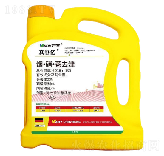 30%��������ݬȥ��-���݃|-�f��