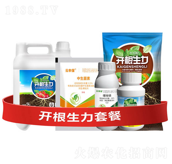 開(kāi)根生力套餐Ⅰ-開(kāi)根生力-云大科技