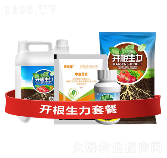 開(kāi)根生力套餐G-云大科技