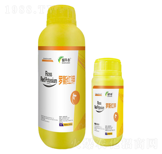 羅斯紅鉀-韶華美