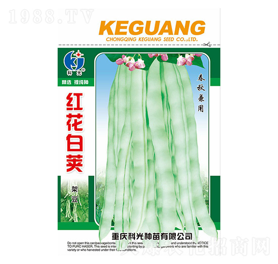 紅花白莢架豆-科光種苗