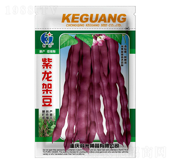 紫龍架豆-科光種苗