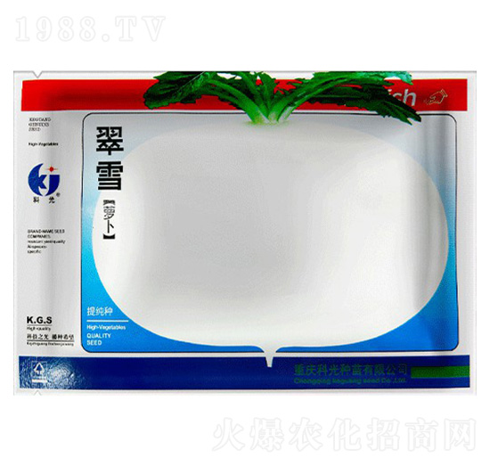 翠雪蘿卜-科光種苗