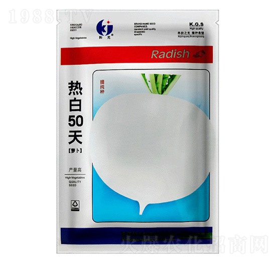 熱白50天蘿卜-科光種苗