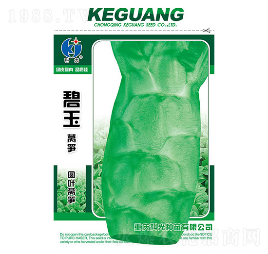 碧玉圓葉萵筍-科光種苗