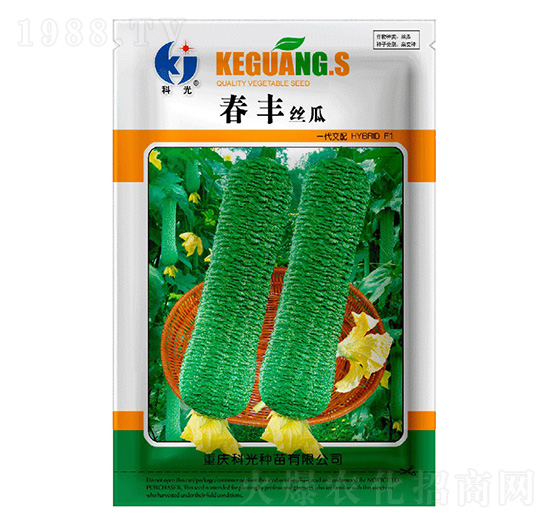 春豐絲瓜-科光種苗