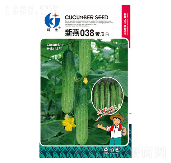 新燕038-科光種苗