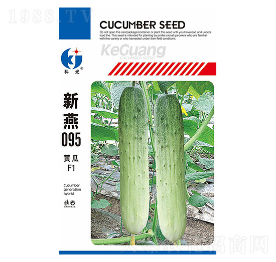 新燕095-科光種苗