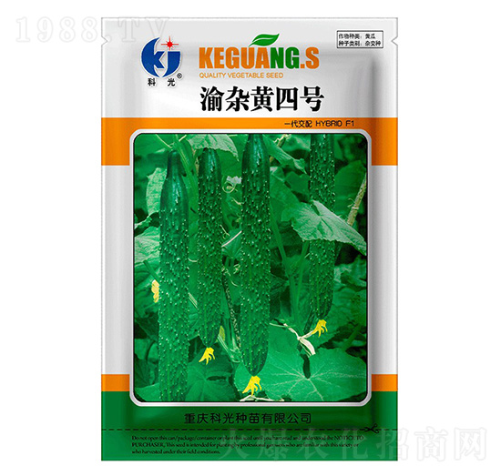 渝雜黃4號(hào)-科光種苗