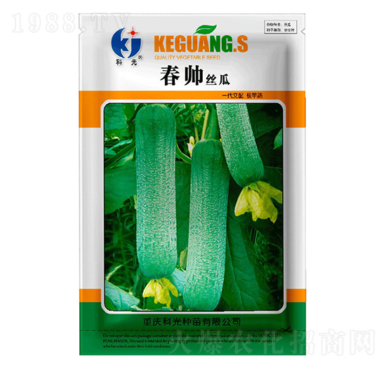 �����z��-�ƹ�N��