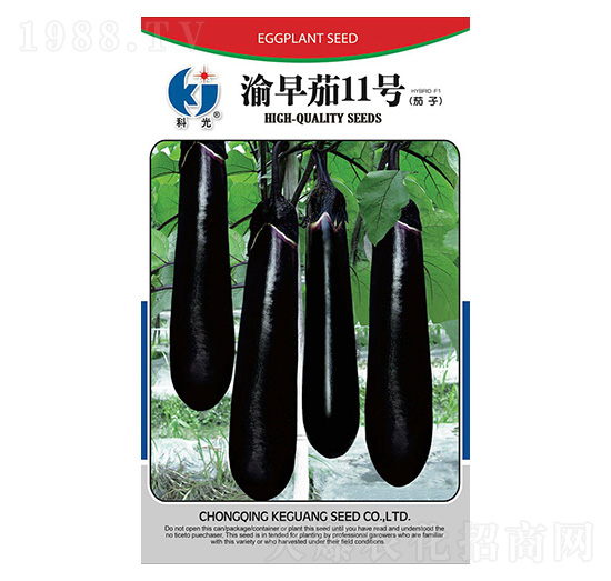 ����12̖(h��o)-�ƹ�N��