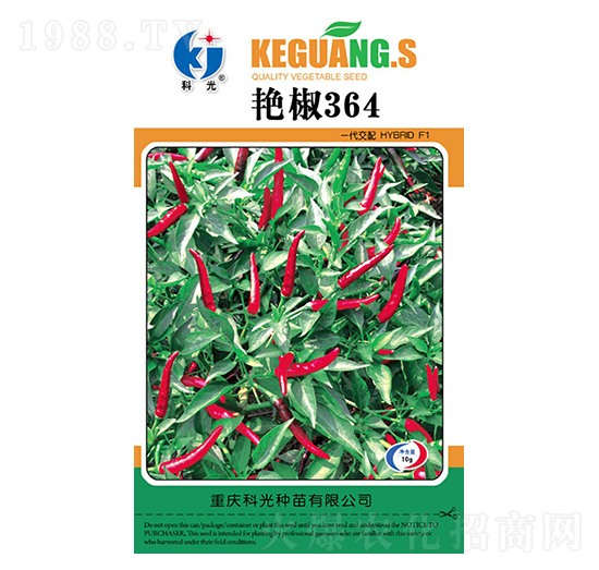 �G��364-�ƹ�N��