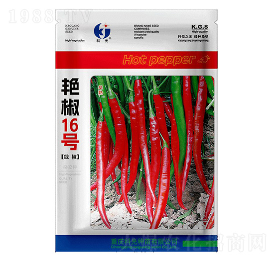 �G��16̖-�ƹ�N��