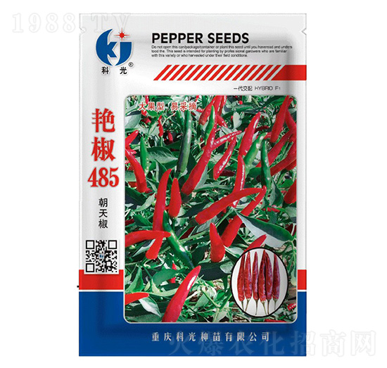 艷椒485辣椒種子-科光種苗