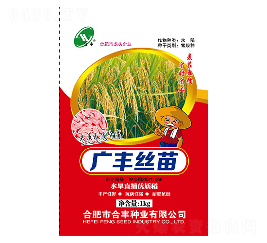 水旱直播優(yōu)質(zhì)稻-廣豐絲苗-合豐種業(yè)
