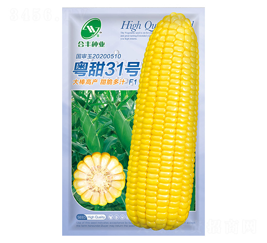 粵甜31號(hào)水果玉米-合豐種業(yè)