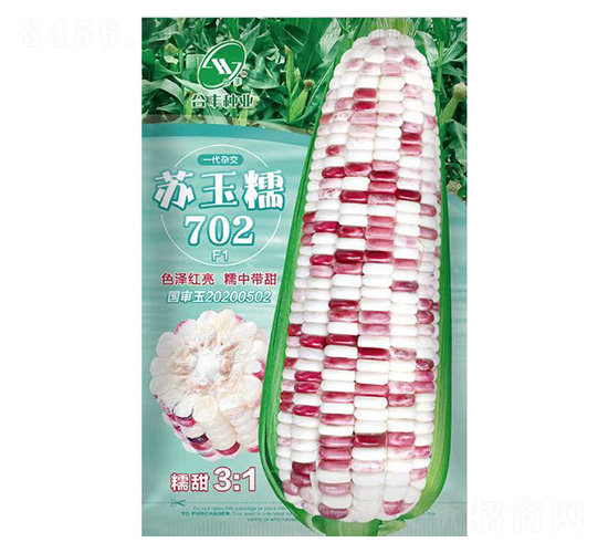 蘇玉糯702-合豐種業(yè)