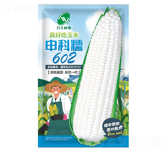 申科糯602-合豐種業(yè)