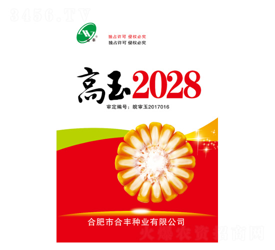 高玉2028-合豐種業(yè)