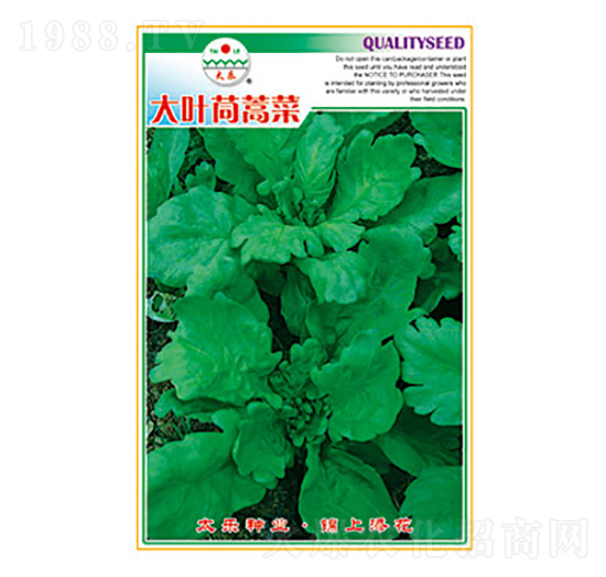 ����N��-���~�����-̫��(l��)�N�I(y��)