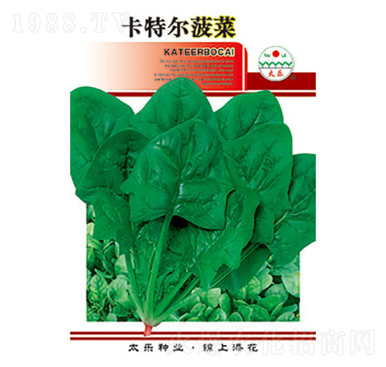 ���˷N��-���ؠ�����-̫��(l��)�N�I(y��)