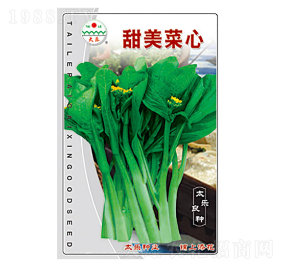 ��������-̫���N�I(y��)