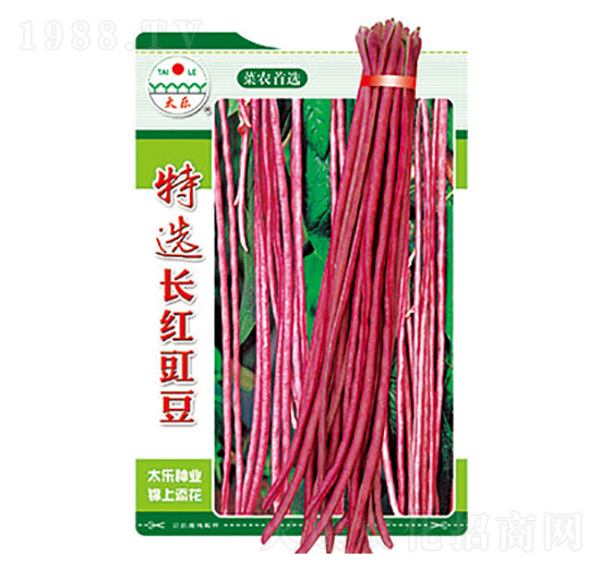 �����N��-���x�L�t����-̫���N�I(y��)