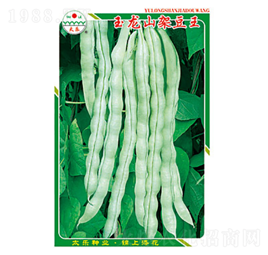 �����N��-����ɽ�ܶ���-̫���N�I(y��)