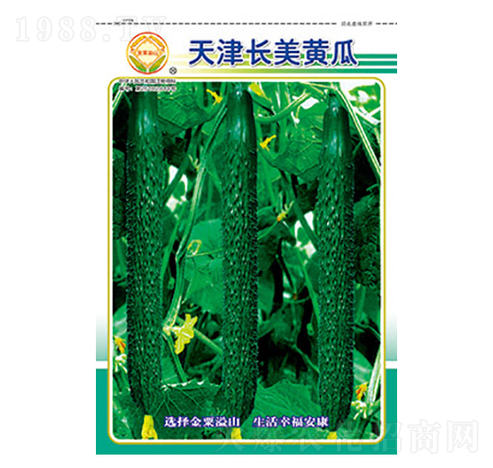 �S�ϷN��-����L���S��-̫���N�I(y��)