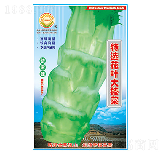 棒菜種子-特選花葉大棒菜-太樂種業(yè)
