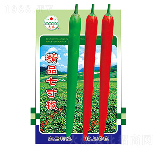 辣椒種子-精品七寸椒-太樂種業(yè)